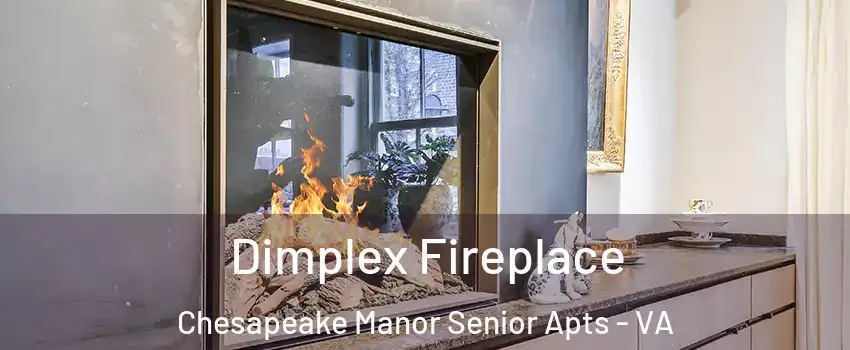 Dimplex Fireplace Chesapeake Manor Senior Apts - VA