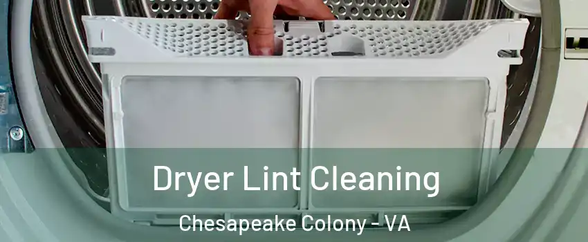 Dryer Lint Cleaning Chesapeake Colony - VA