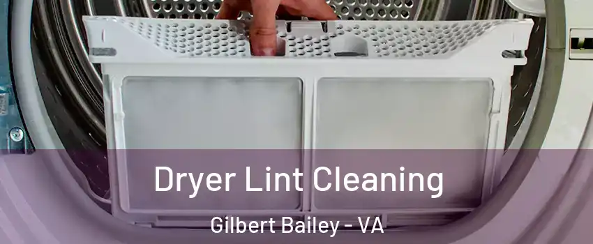 Dryer Lint Cleaning Gilbert Bailey - VA