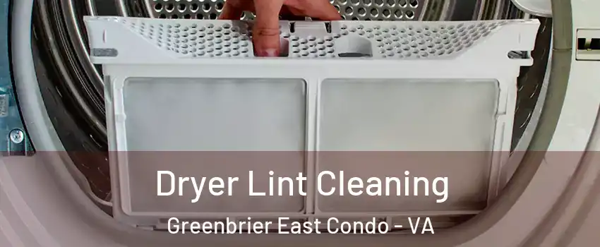 Dryer Lint Cleaning Greenbrier East Condo - VA