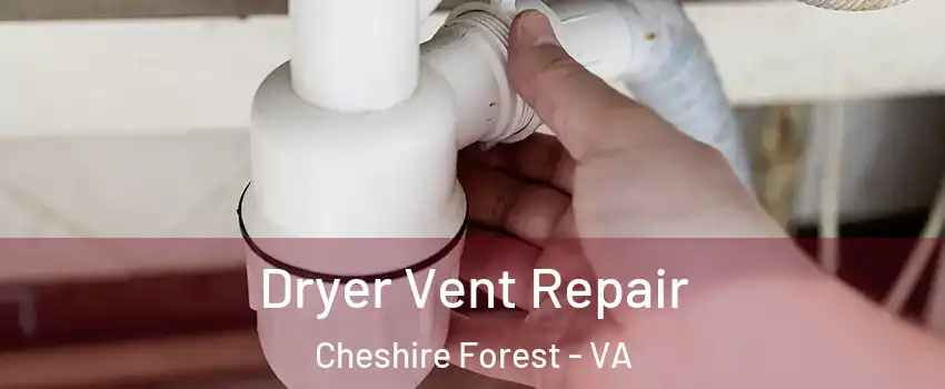 Dryer Vent Repair Cheshire Forest - VA