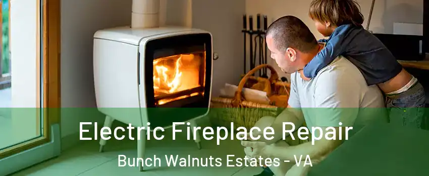 Electric Fireplace Repair Bunch Walnuts Estates - VA