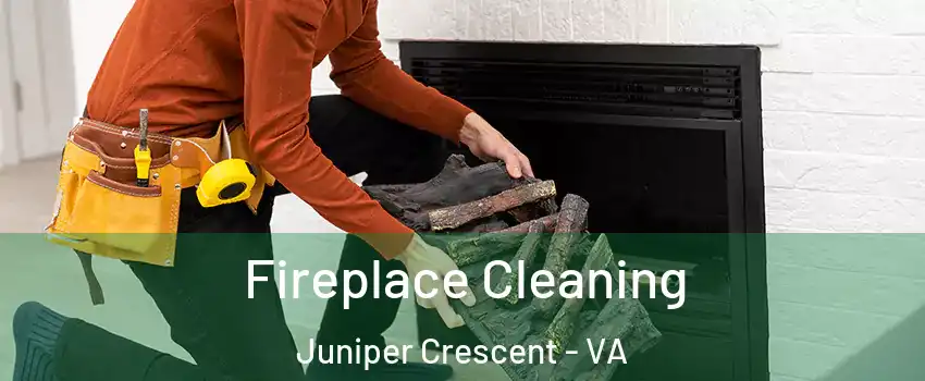 Fireplace Cleaning Juniper Crescent - VA