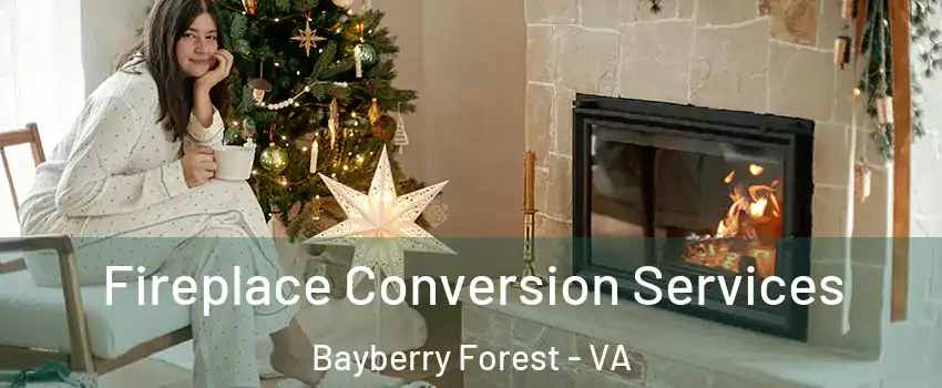 Fireplace Conversion Services Bayberry Forest - VA