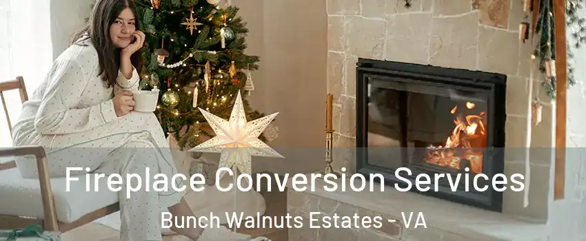 Fireplace Conversion Services Bunch Walnuts Estates - VA