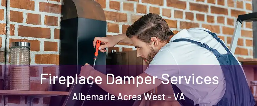 Fireplace Damper Services Albemarle Acres West - VA