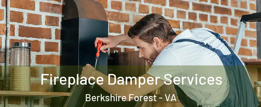 Fireplace Damper Services Berkshire Forest - VA