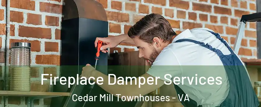 Fireplace Damper Services Cedar Mill Townhouses - VA