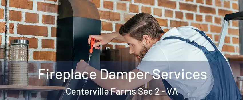 Fireplace Damper Services Centerville Farms Sec 2 - VA