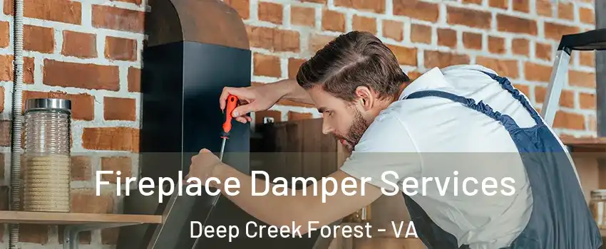 Fireplace Damper Services Deep Creek Forest - VA