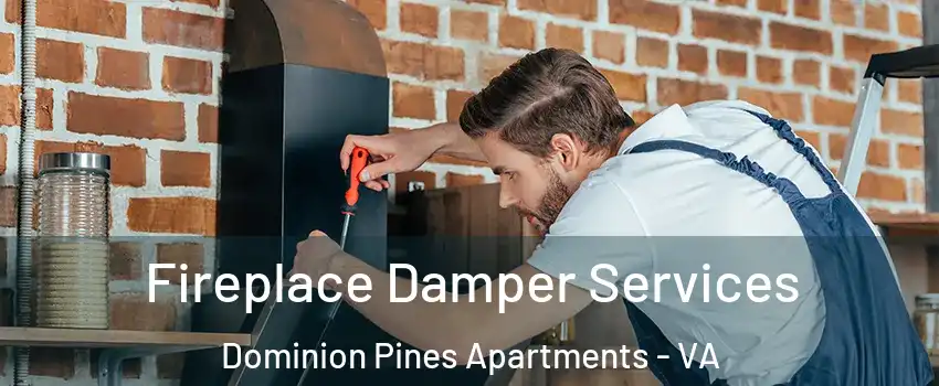 Fireplace Damper Services Dominion Pines Apartments - VA