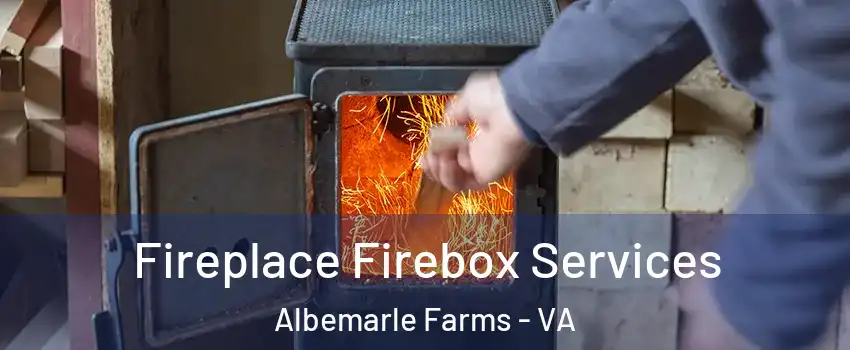 Fireplace Firebox Services Albemarle Farms - VA