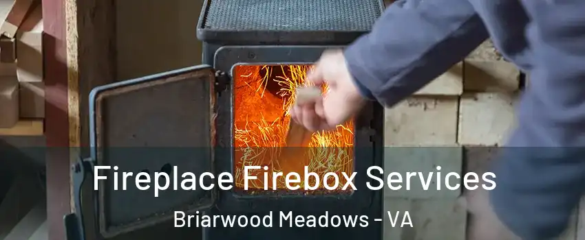 Fireplace Firebox Services Briarwood Meadows - VA