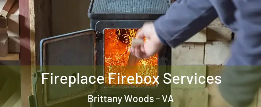 Fireplace Firebox Services Brittany Woods - VA