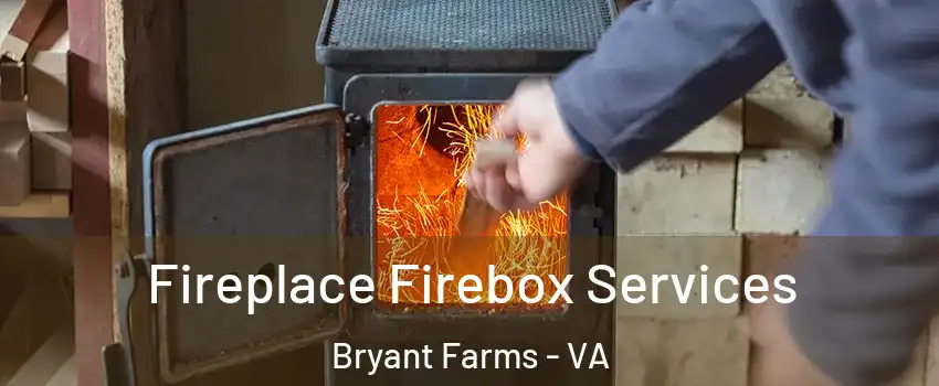 Fireplace Firebox Services Bryant Farms - VA