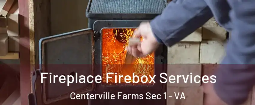 Fireplace Firebox Services Centerville Farms Sec 1 - VA