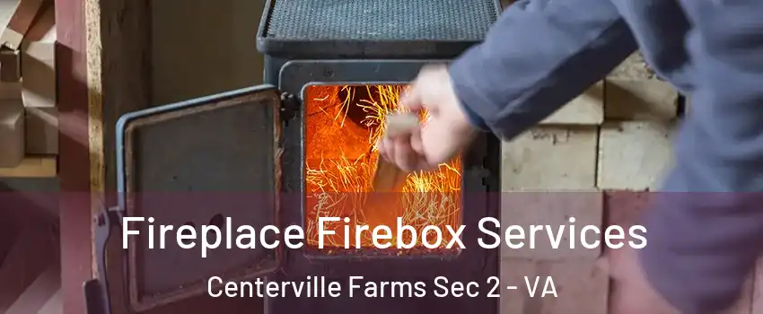 Fireplace Firebox Services Centerville Farms Sec 2 - VA