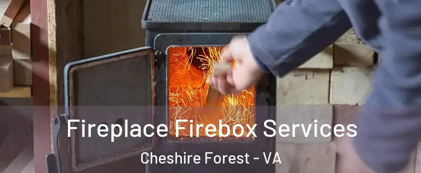 Fireplace Firebox Services Cheshire Forest - VA