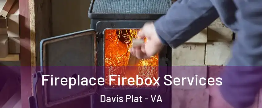 Fireplace Firebox Services Davis Plat - VA