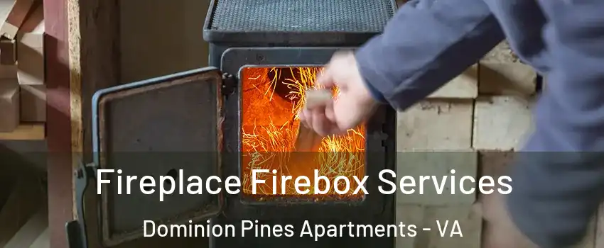 Fireplace Firebox Services Dominion Pines Apartments - VA