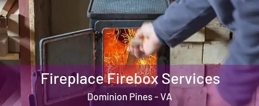 Fireplace Firebox Services Dominion Pines - VA