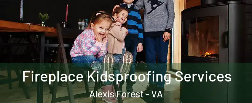 Fireplace Kidsproofing Services Alexis Forest - VA