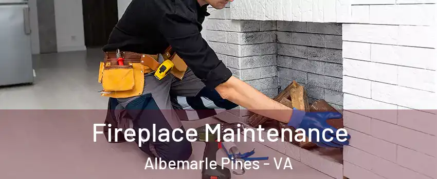 Fireplace Maintenance Albemarle Pines - VA