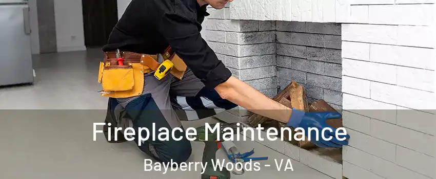 Fireplace Maintenance Bayberry Woods - VA