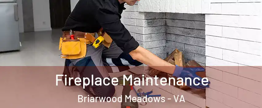 Fireplace Maintenance Briarwood Meadows - VA