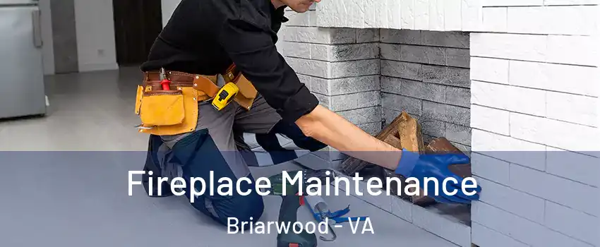 Fireplace Maintenance Briarwood - VA