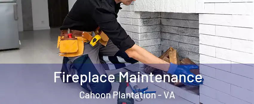 Fireplace Maintenance Cahoon Plantation - VA