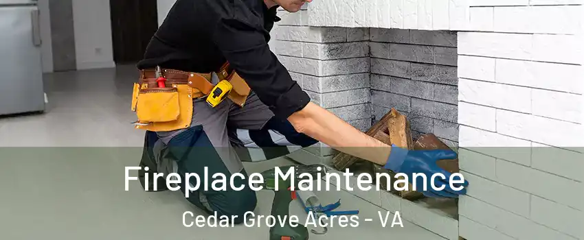 Fireplace Maintenance Cedar Grove Acres - VA