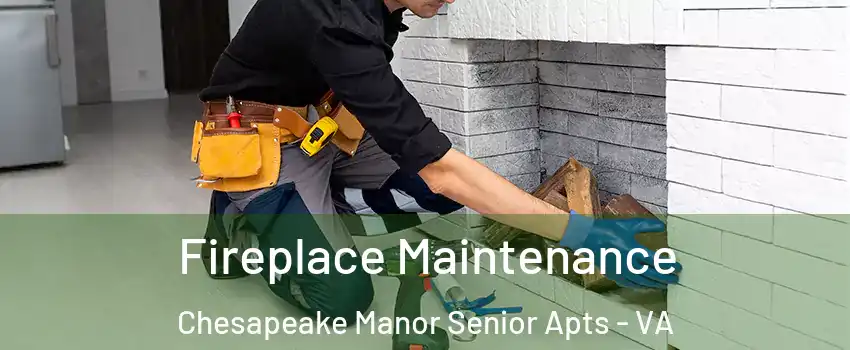 Fireplace Maintenance Chesapeake Manor Senior Apts - VA