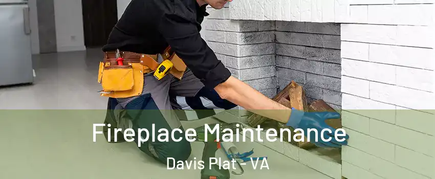 Fireplace Maintenance Davis Plat - VA