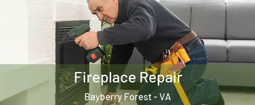 Fireplace Repair Bayberry Forest - VA