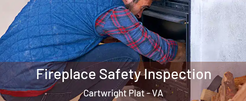 Fireplace Safety Inspection Cartwright Plat - VA