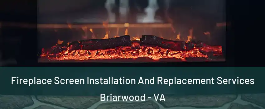 Fireplace Screen Installation And Replacement Services Briarwood - VA