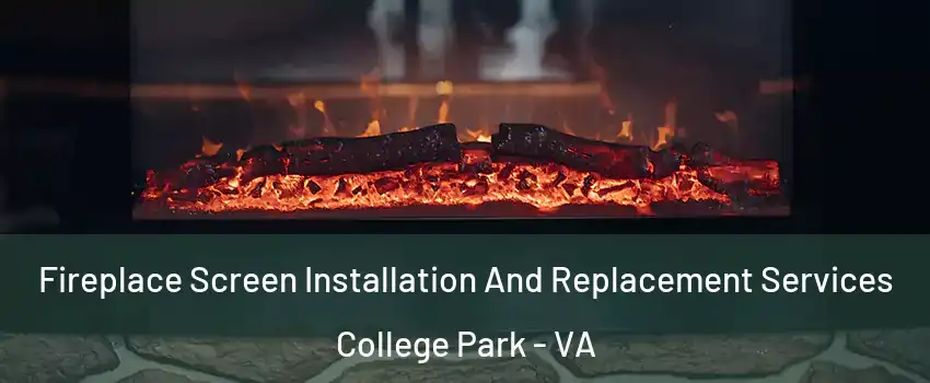 Fireplace Screen Installation And Replacement Services College Park - VA