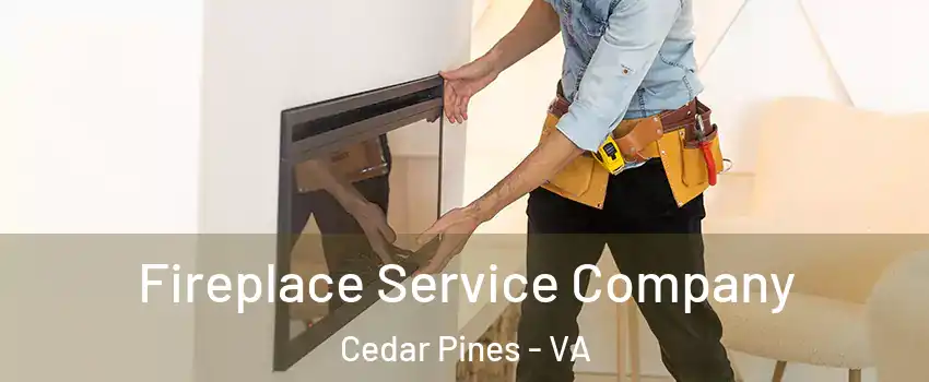 Fireplace Service Company Cedar Pines - VA