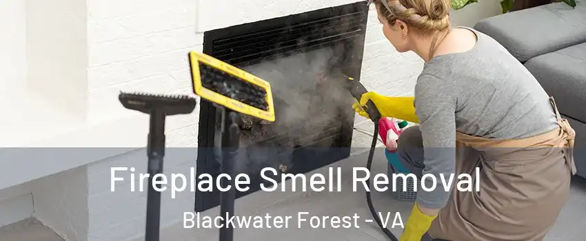 Fireplace Smell Removal Blackwater Forest - VA