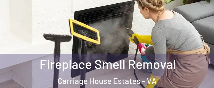 Fireplace Smell Removal Carriage House Estates - VA