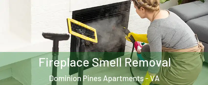 Fireplace Smell Removal Dominion Pines Apartments - VA