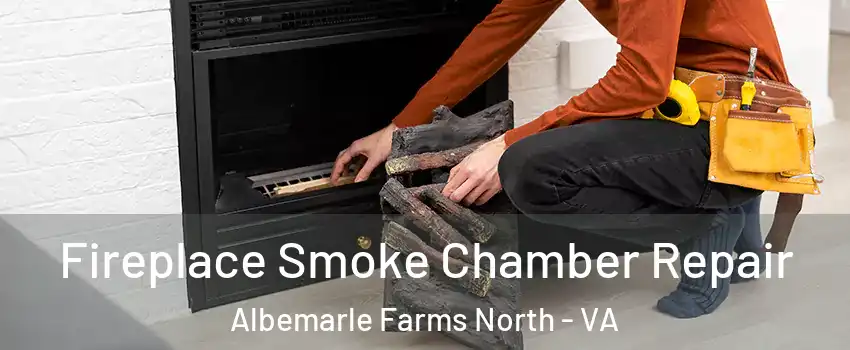 Fireplace Smoke Chamber Repair Albemarle Farms North - VA