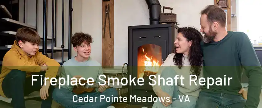 Fireplace Smoke Shaft Repair Cedar Pointe Meadows - VA