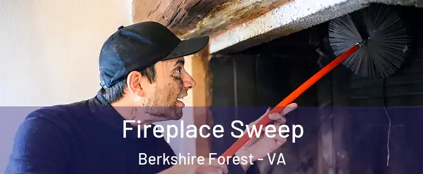 Fireplace Sweep Berkshire Forest - VA