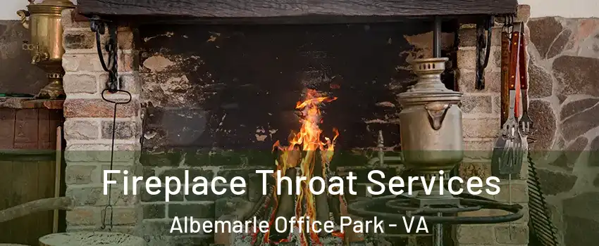 Fireplace Throat Services Albemarle Office Park - VA