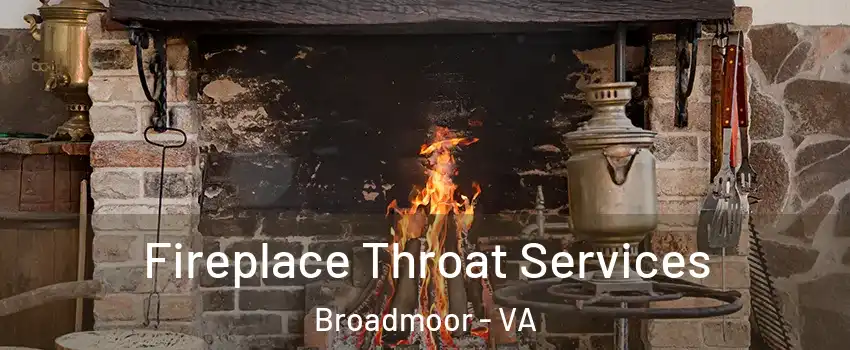 Fireplace Throat Services Broadmoor - VA