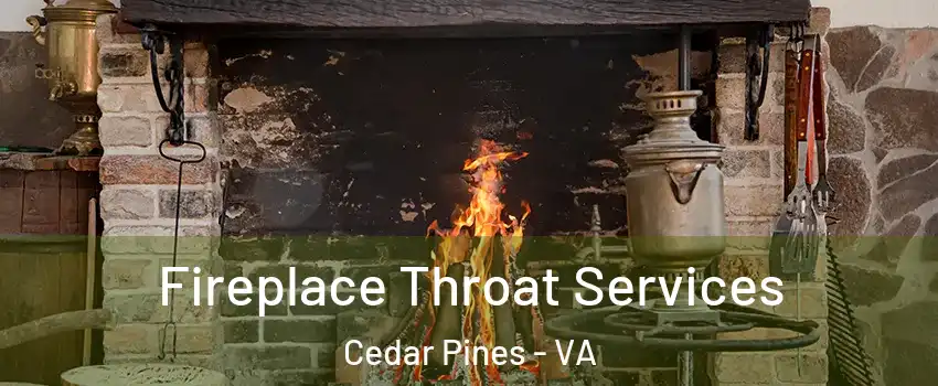 Fireplace Throat Services Cedar Pines - VA