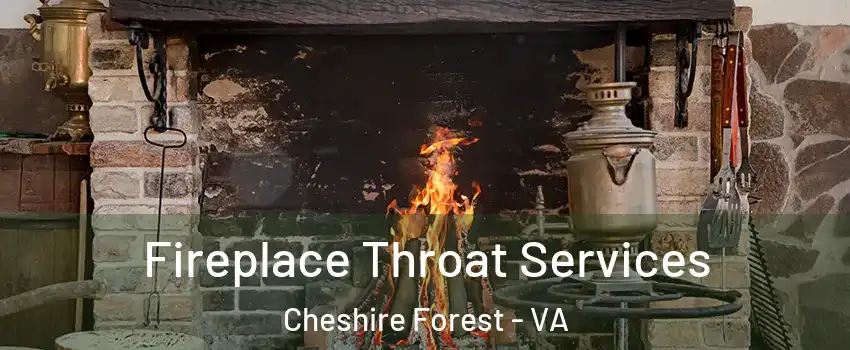 Fireplace Throat Services Cheshire Forest - VA