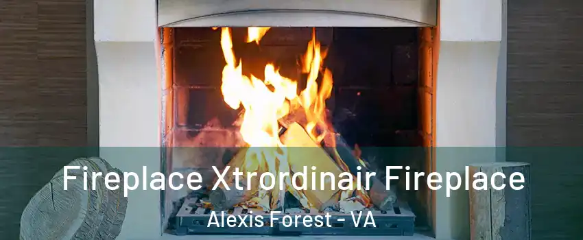 Fireplace Xtrordinair Fireplace Alexis Forest - VA